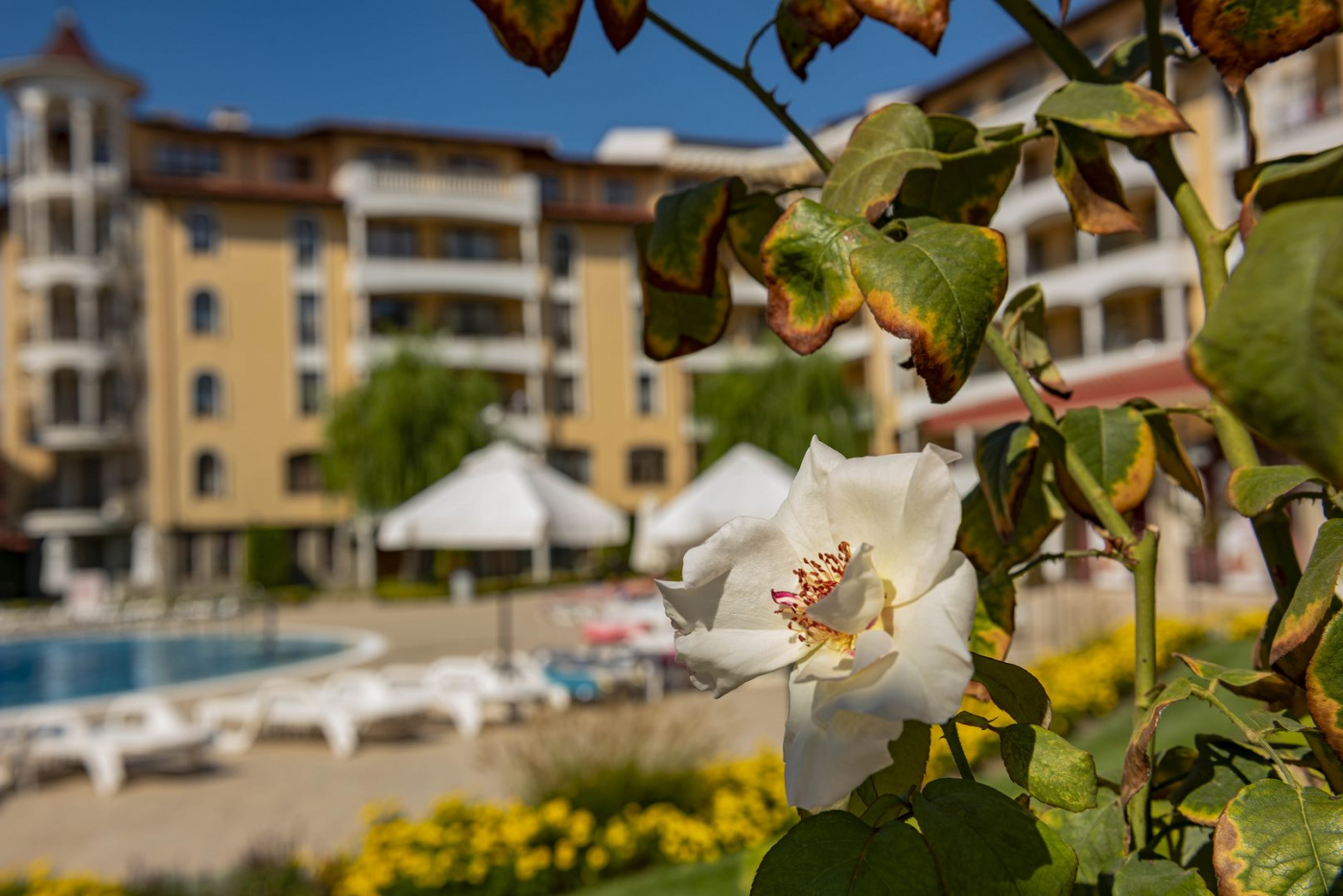 Royal Sun Aparthotel