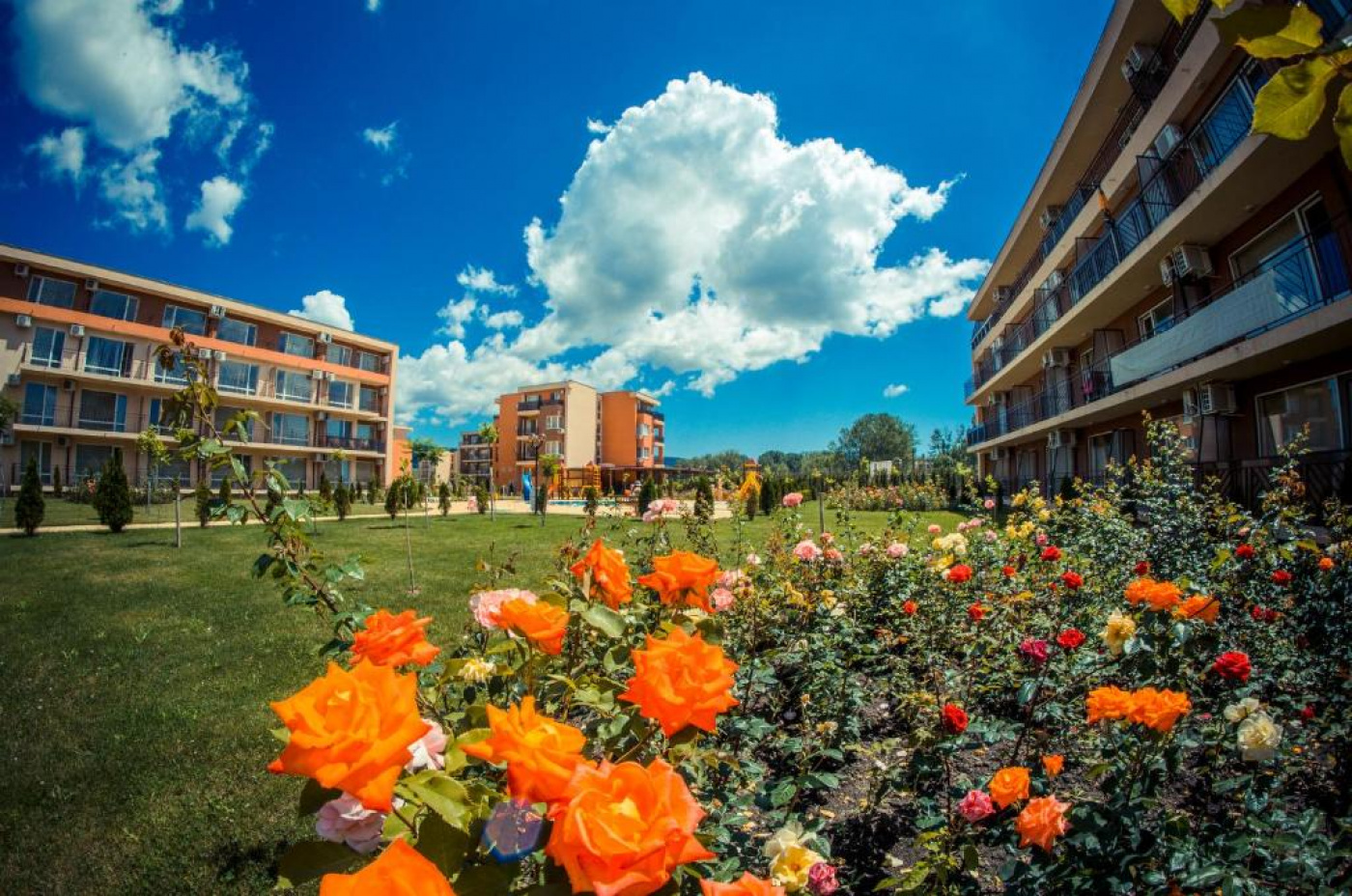 Holiday&Orchid Aparthotel