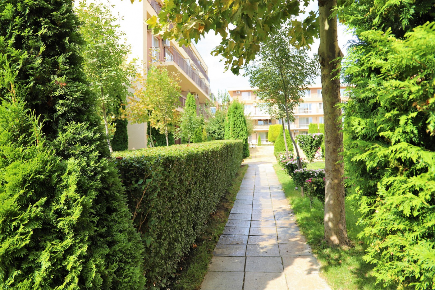 Holiday&Orchid Aparthotel