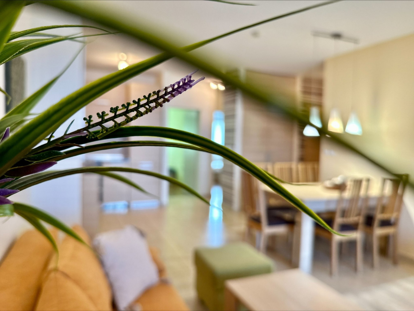 Marina Cape apartament 4_8