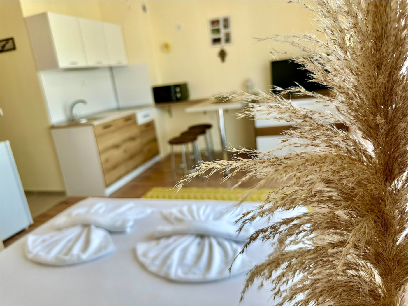 Ipanema Beach apartament B508