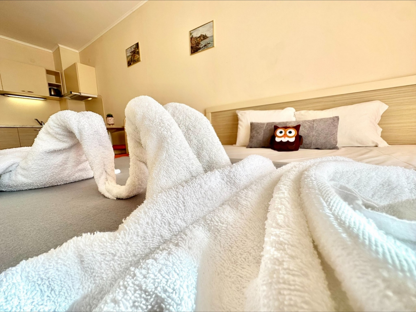 Royal Sun apartament B53