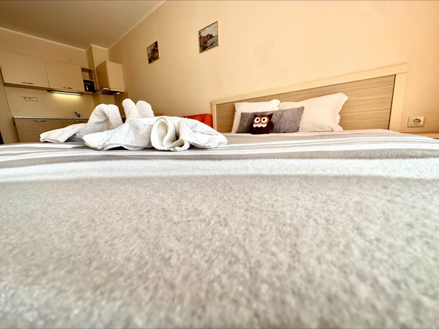 Royal Sun apartament B53