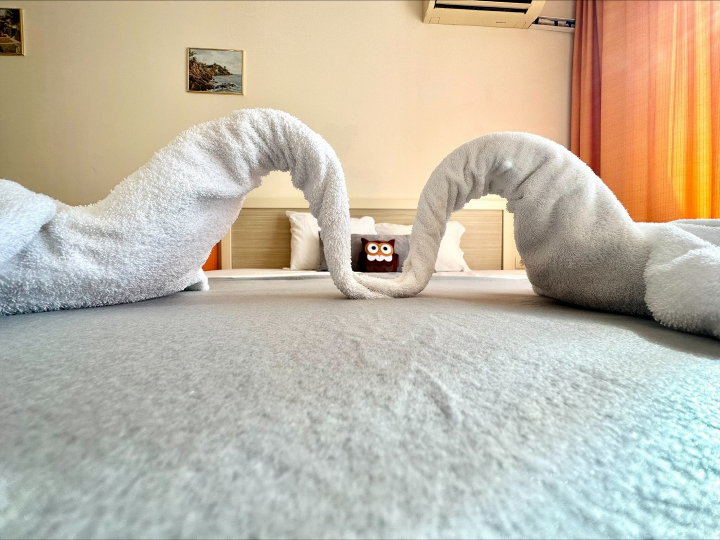 Royal Sun apartament B53