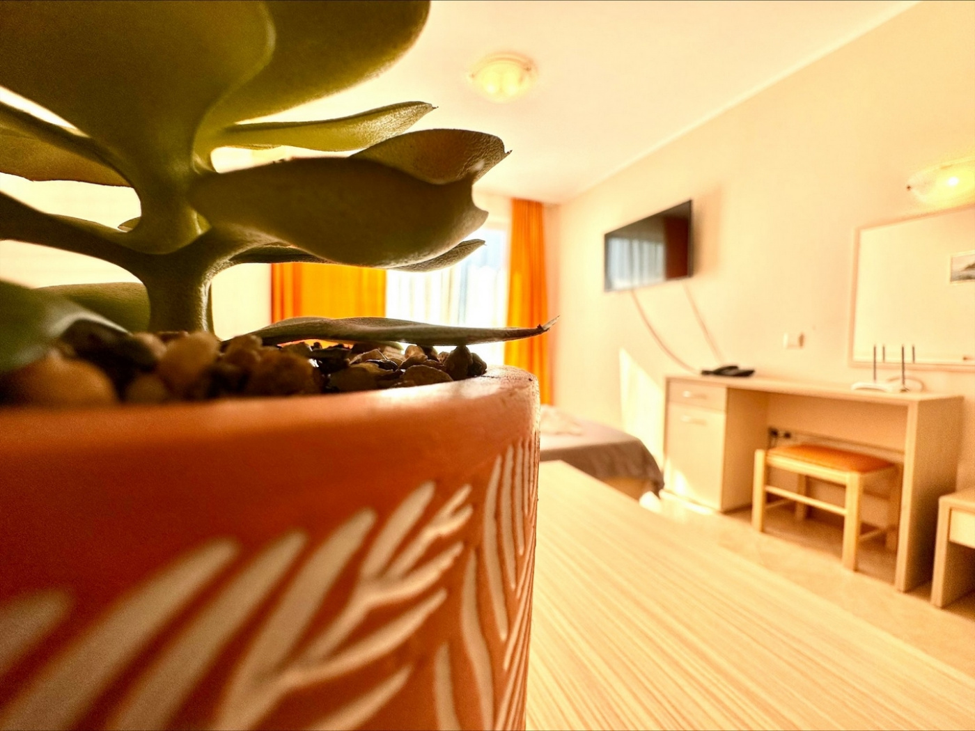 Royal Sun apartament B53